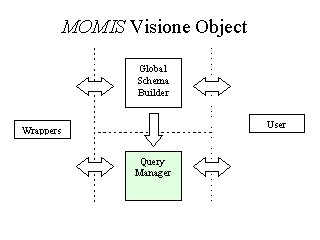 MOMIS object vision